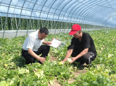 山西农商银行深耕三晋膏壤 做优金融 “五篇大文